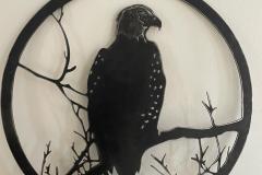 Bird-of-Prey-20.06.23