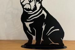 French-Bulldog-20.06.23